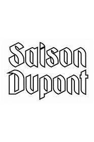 SAISON DUPONT 6,5° -  FUT 20L